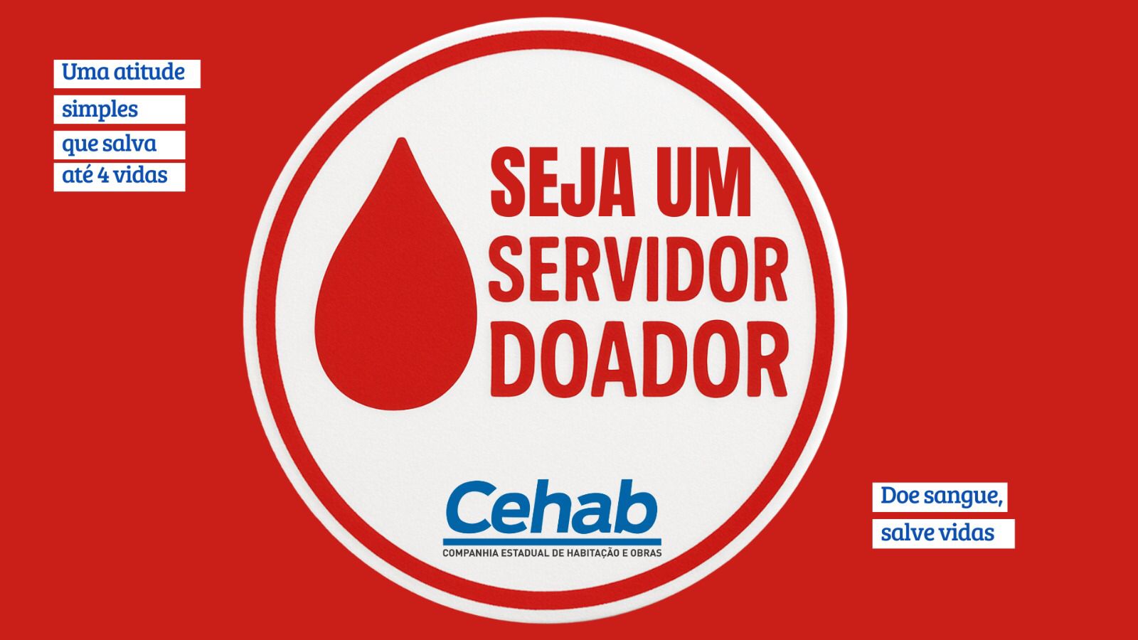 Imagem da publicação de Betânia Gomes