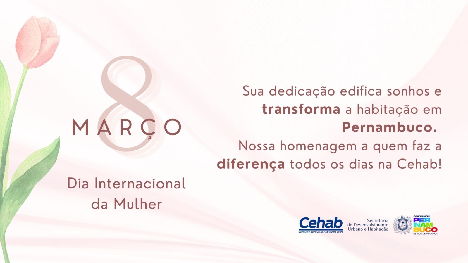 Imagem da publicação de Meydson Fernando